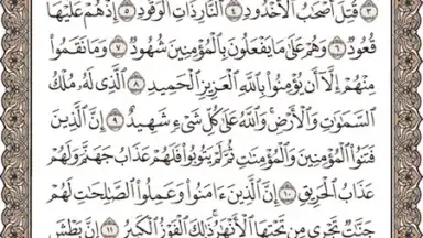 TvQuran screenshot 2