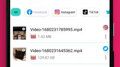 Video Downloader screenshot 2