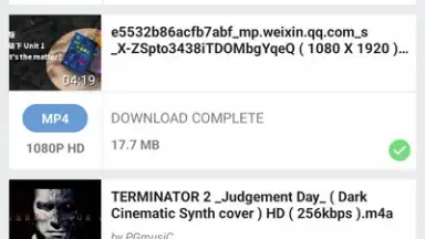 YVideo Downloader screenshot 2