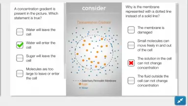 SPARKvue screenshot 8