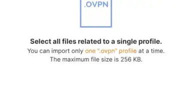 OpenVPN Connect screenshot 7