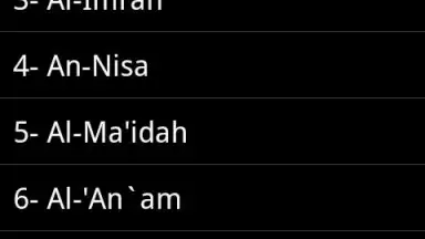 Quran MP3 With Indonesian screenshot 3