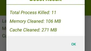 Clean Memory Phone (Pro) screenshot 4