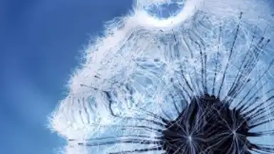 Galaxy S3 Live Wallpaper screenshot 1