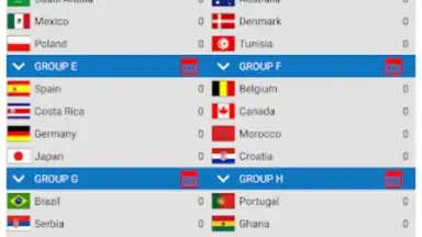 World Football Simulator screenshot 3