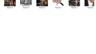 Venus Index Mobile screenshot 11