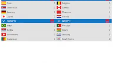 World Football Simulator screenshot 18