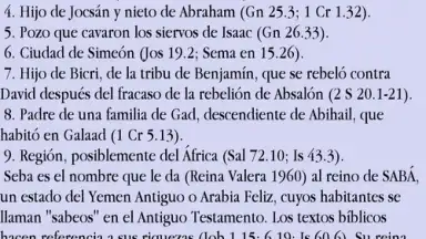 Diccionario Bíblico Nelson screenshot 6