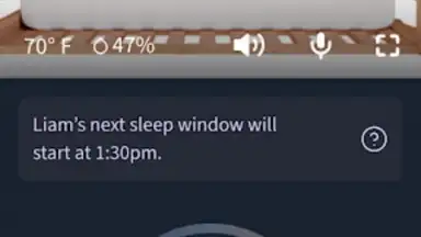 Owlet Dream screenshot 6
