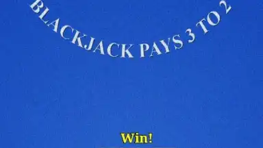 Advantage Blackjack screenshot 4
