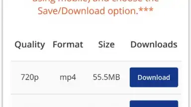 Pick Video downloader screenshot 10