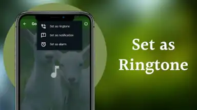 Goat Sounds screenshot 8