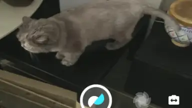 Motion Stills screenshot 1
