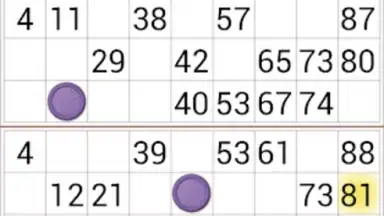 Loto Online screenshot 2