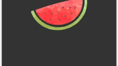 VPN Melon screenshot 1