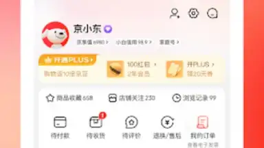 Jingdong screenshot 10