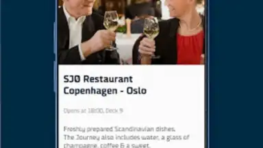 DFDS screenshot 1