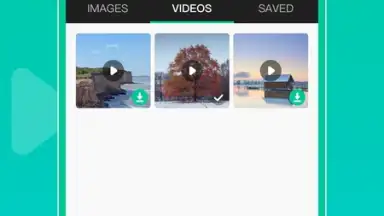WAStatusGrabD screenshot 3