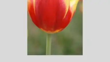 Canon PRINT Inkjet/SELPHY screenshot 3