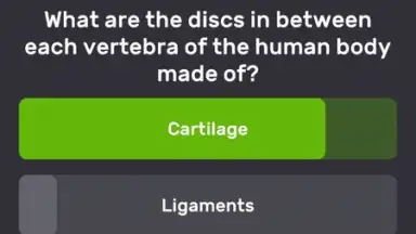 QuizzLand screenshot 5