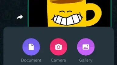 WhatsApp Messenger screenshot 28