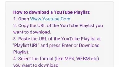 DL Tube screenshot 4