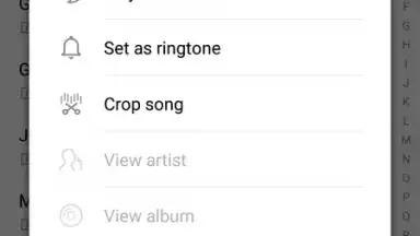 Huawei Music screenshot 7