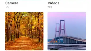 vivo Gallery screenshot 2