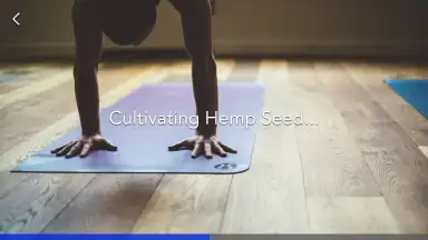 Yoga | Down Dog screenshot 2
