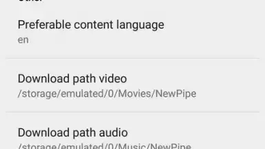 NewPipe screenshot 17