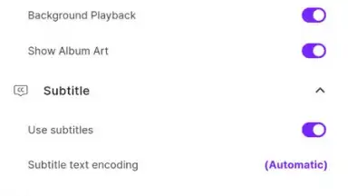 KMPlayer screenshot 8