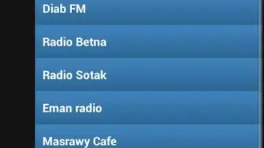 Egyptian Radio screenshot 2
