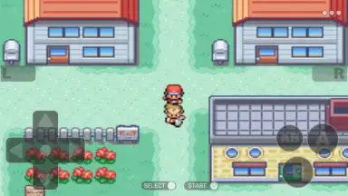 Pokemon Collection screenshot 3