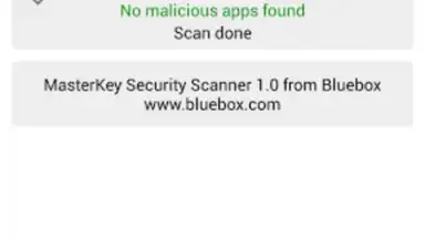 Bluebox Security Scanner screenshot 2