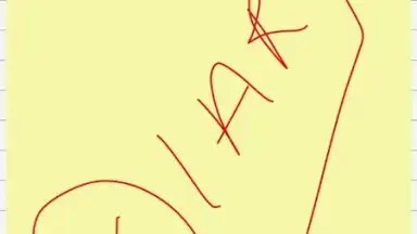 Diary screenshot 5