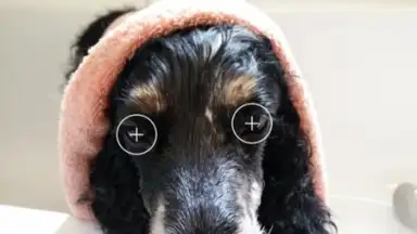 MakeupPlus screenshot 3