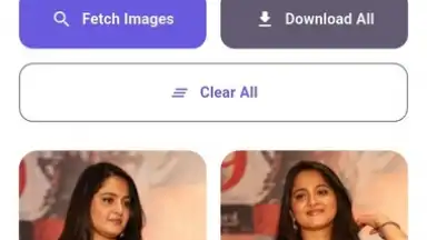 Ragalahari Downloader screenshot 6