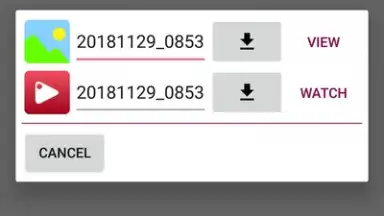 Advanced Downloader screenshot 8