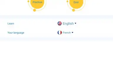 Reverso Translation Dictionary screenshot 15
