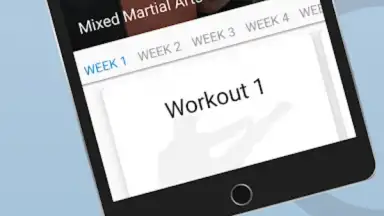 Ultimate MMA Fighting Program screenshot 5