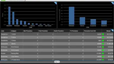 SAP BI screenshot 3