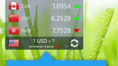 Currency Exchange Rates screenshot 8