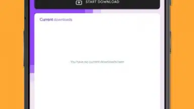 Twitch Downloader screenshot 3
