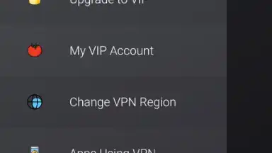 VPN Tomato screenshot 8