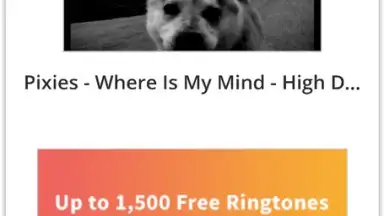 Pick Video downloader screenshot 9
