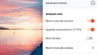 Brave Nightly (devs & testers) screenshot 1