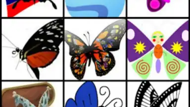 Butterfly Flower for DoodleTex screenshot 4