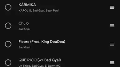 Spotify screenshot 15