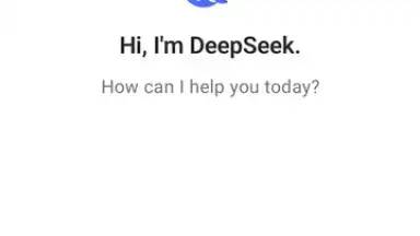 DeepSeek screenshot 1