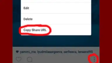 Скачать картинку видео из инстаграм screenshot 1